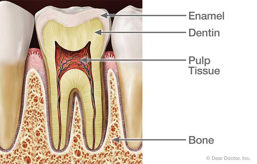 Health Tooth.